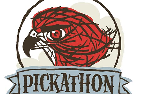 Pickathon Festival